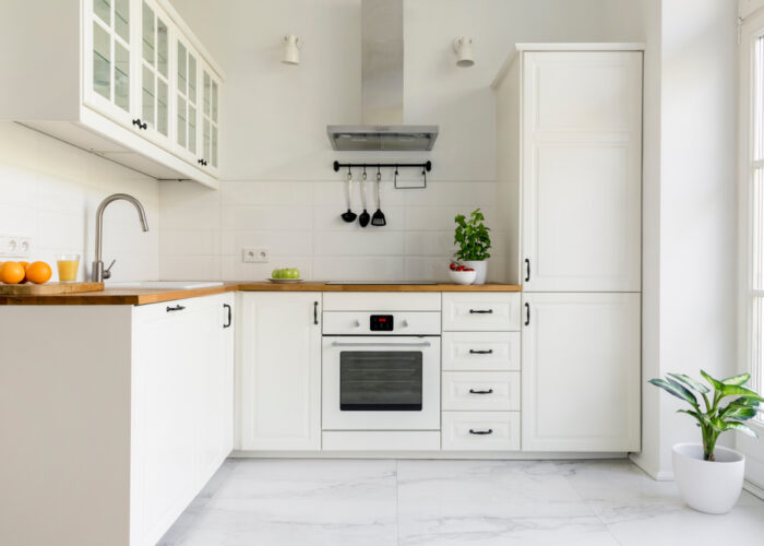 Silver,Cooker,Hood,In,Minimal,White,Kitchen,Interior,With,Plant